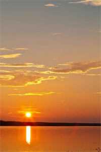 品味沈明希靳斯言秦微微的悲欢离合, 沈明希靳斯言秦微微彩蛋大结局彩蛋曝光篇章