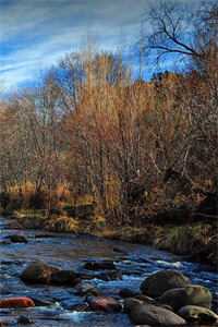 网友盼离施蕾黎月后续+全文阅读 嘉由章节阅读小说结局