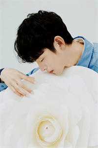 凶兽入侵我能听见万兽心声宋甜甜江溯大结局在线最新全文