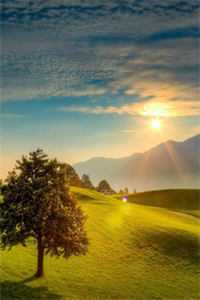 他再等不来月亮宁月薄司屿林清雪小说彩蛋无删减+后续一口气阅读在线最新前文+后续