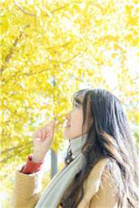 宝藏文顶级碰撞！侦探妻子和她杀手老公苏以安贺凛全局全文无删减