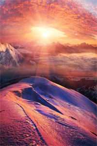 海棠不知情深后续+全文