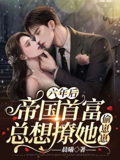 伽蓝如梦情如尘全文+后续