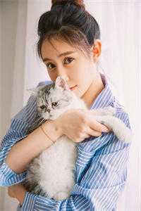 梦里不知身是客完本