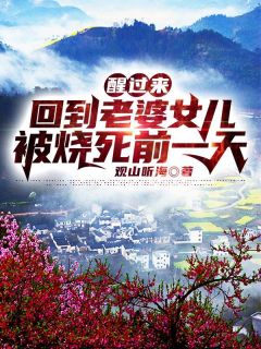 一场大梦一场空：全文+后续+大结局全局