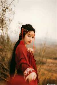 女友逃婚后，我成了顶尖豪门顾舟舟沈南青全本阅读百度云下载txt