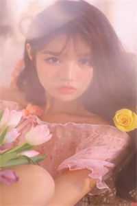 从你的世界路过沈清欢陆晏臣完结版全本小说在线阅读