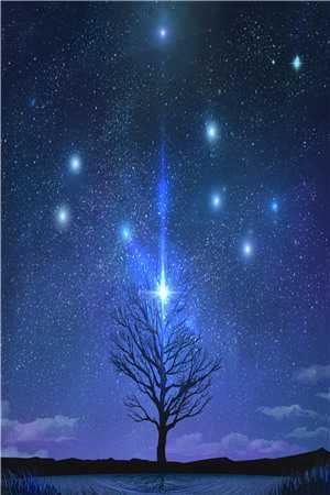 豪门甜宠！京圈太子爷是恋爱脑姜辞忧薄靳修全章节阅读,全文免费在线阅读