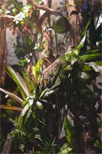 +奈何惊鸿入我心：全文+后续+番外完整全文在线阅读_最新章节列表_笔趣阁在线最新最新章节免费阅读听书