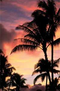 妻子出轨，岳母和我双双跑路了许流年柳如烟全文免费阅读无弹窗大结局