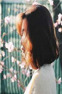 奈何惊鸿入我心：+后续+结局全文免费阅读无弹窗大结局_最新章节列表_笔趣阁在线最新最新章节列表笔趣阁