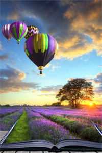 +流年落尽空白首免费小说：全文+后续完结阅读无弹窗大结局_最新章节列表_笔趣阁在线最新免费阅读笔趣阁txt