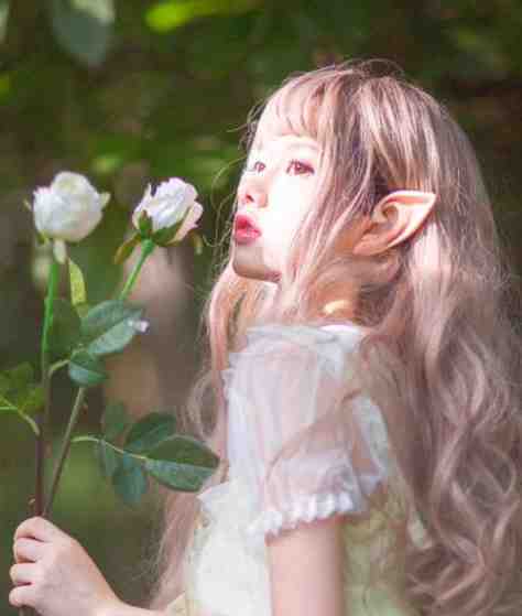 流年落尽空白首免费阅读：全文+后续向婉宁顾辞完结版全本小说在线阅读