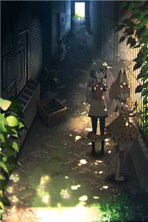 无广告无弹窗全文免费阅读无弹窗大结局_落青梅，佛前几度相思泪：全文+后续最新章节列表_笔趣阁陆景琛宋佳音在线最新已完结txt小说全本免费在线阅读