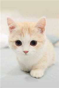 没苦硬吃！放纵后我获天赋神通！免费文笔细腻免费已完结小说最新章节免费在线阅读