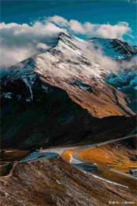 烟火照夜白温南枝沈清宴完整版全本笔趣阁小说