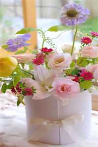 远风知我意，坠入星河中凌安然凌知意小说免费在线阅读无删减正版