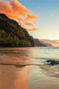 去时惹尘埃，归来月犹在C500萧子延穆青青免费阅读完整版txt小说无删减