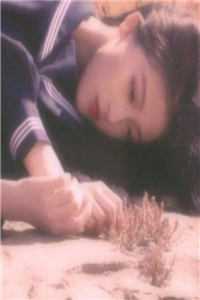 越山海周京越宋心妍已完结小说最新章节免费阅读