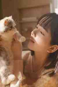 且停且忘且随风简南乔傅斯煜txt小说全集完整版免费阅读