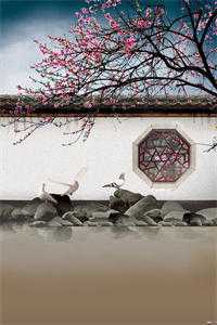 情如烟雨终散去云澈苏晴全集在线阅读有声小说