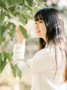 衔棠夜烬照骨行许安宁裴景行完结版免费在线阅读