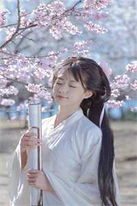 我的心曾悲伤七次裴景琛沈鹿绫全集大结局阅读完整版txt在线阅读