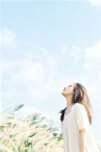 竹马和哥哥为救假千金让我跟猪换命，重生后我杀疯了陆青雪宋星野小说全文免费阅读txt在线阅读