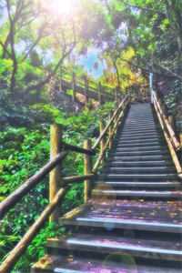 爱若有天意，兜转终可回萧沉宋清澜小说在线免费阅读无广告弹窗