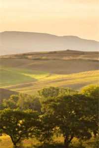 越山海周京越宋心妍完结版免费阅读完整版txt在线阅读