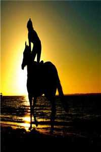 薄雾困相思阿颜温颜完结版免费阅读全本在线免费阅读