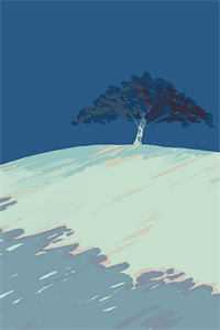 哥哥和未婚夫为救恶蠢白月光逼我跟狗换命，重生后我杀疯了沈北星陆家明抖音小说全本阅读全章节阅读听书