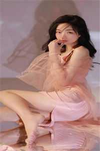 从此繁星不再傅臻兴傅繁星全本笔趣阁小说在线免费阅读无广告