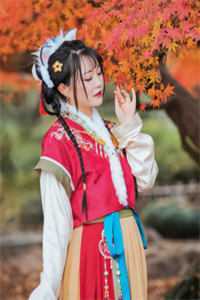 直到最后，女友才知我是京圈豪门苏轻语许流年全章节在线阅读全本在线阅读