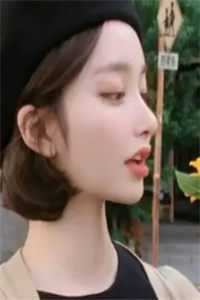 岚伊复仇卫柏岚卫家免费小说在线阅读最新章节