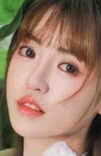 他站在回忆尽头沈辞安乔若兮完整版免费阅读有声小说