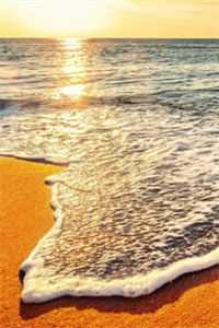 我抛弃相恋千年的帝君嫁给别人了紫阳狐九全集完整版在线免费阅读小说