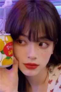 月亮坟墓沈凝路星辞完整版txt在线阅读