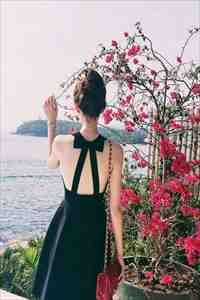 爱意舍离林晚枫傅寒声在线阅读免费阅读完整版小说