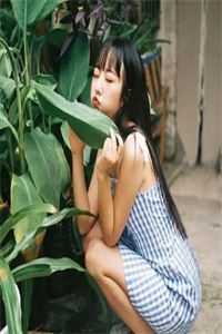 微风轻拂又见你陆沉林书意最新章节阅读全章节免费在线阅读