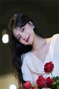 不如相忘于人海合集530陆晚宁莫廷言已完结txt小说全本免费在线阅读