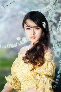 一世悔过，半世自由陆楠枫顾轩雨最新章节免费在线阅读