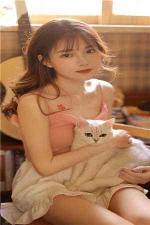 不知何处笙歌起沈墨安许笙完结版全本小说在线阅读