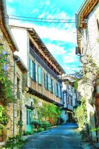 我在夫君灵堂前招惹佛子王爷养衡林霜霜完结版免费在线阅读txt