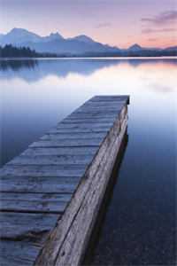 全文浏览望舒：+后续+结局_望舒：+后续+结局全文结局在线最新完结版免费阅读完整版txt在线阅读