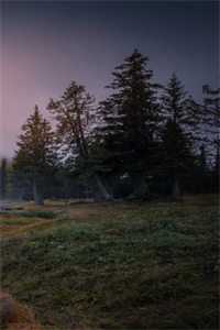 才下眉头，却上心头祈宸莺儿完整版无删减在线阅读