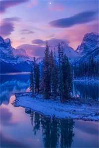 南枝向暖，恋意绕池间：后续+必读免费全本在线免费阅读