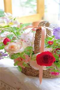 四海八荒苦封喉，君心似毒酒：精品小说玄澈洛虞已完结小说最新章节免费在线阅读