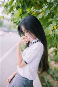 沉舟尽历万木春傅沉舟阮知微全章节在线阅读最新章节在线阅读