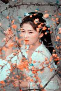 女总裁谈情，我被动入坑林震李若曦全集在线阅读有声小说